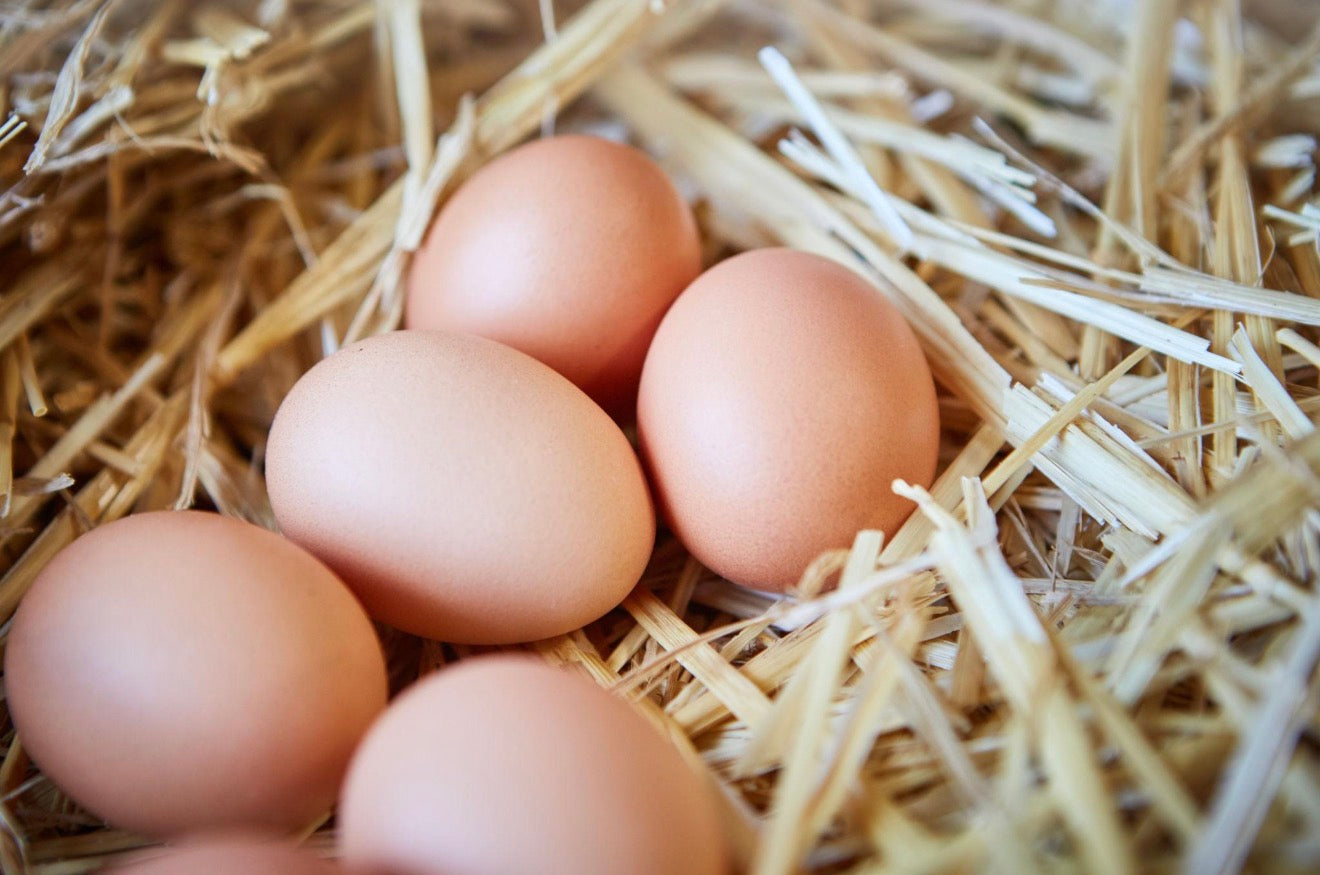 Free Range Eggs
